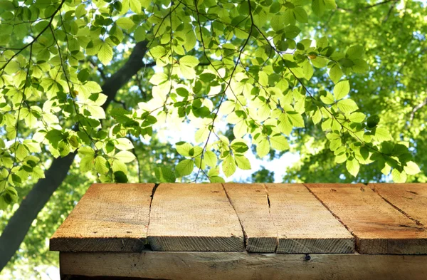 空のテーブルと緑の森 — ストック写真