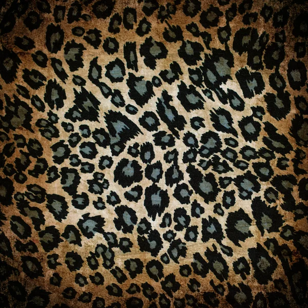 Леопардовый узор — стоковое фото