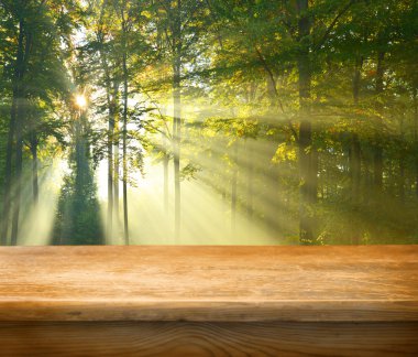 Empty table and autumn forest
