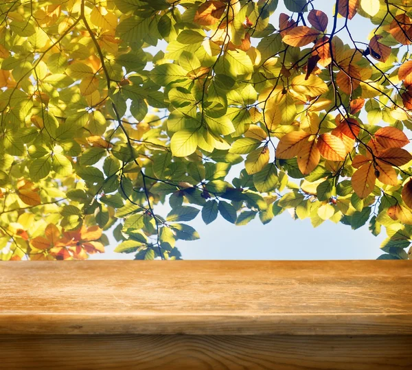 Mesa vazia com fundo de folhas de outono — Fotografia de Stock
