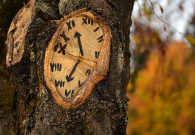 ağaç saati