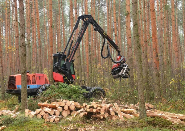 Kombajn zbożowy — Zdjęcie stockowe