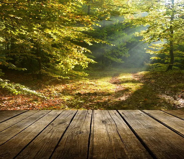 Sfondo foresta con tavolo vuoto — Foto Stock