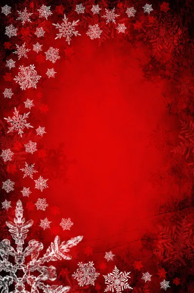 Christmas background with snowflakes — Stock Photo, Image