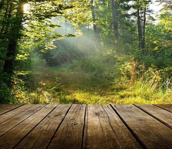 Lege houten dek tabel met bos achtergrond — Stockfoto