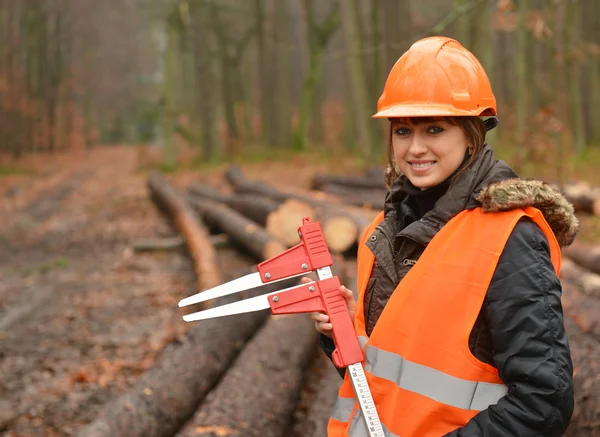 Operaio forestale — Foto Stock