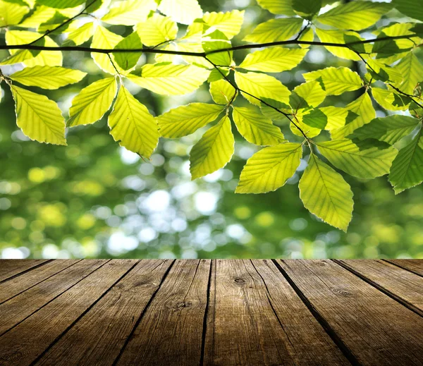 Table de terrasse en bois vide avec fond de printemps — Photo