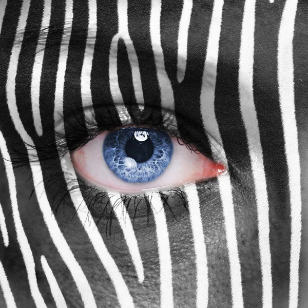 Zebragesicht — Stockfoto