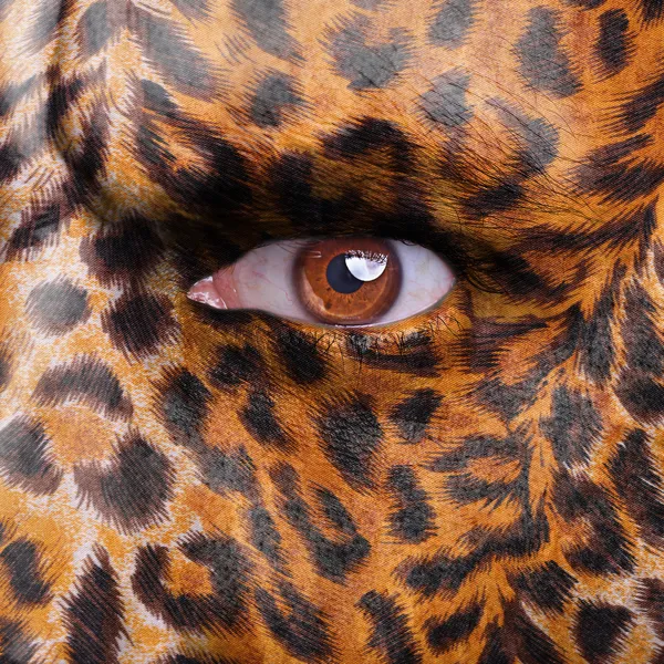 Gepard pattern on man face — Stock Photo, Image