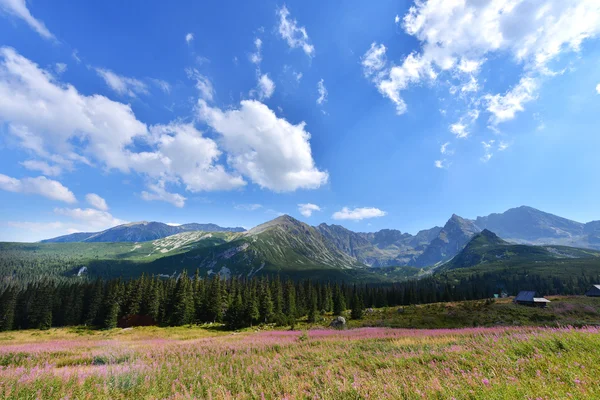 Montañas de Tatry — Foto de Stock