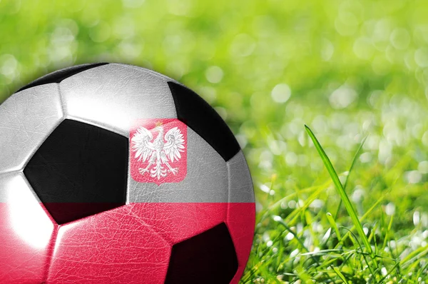 Piłka z flagą Polski — Zdjęcie stockowe