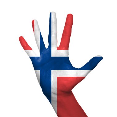 Norveç Bayrağı
