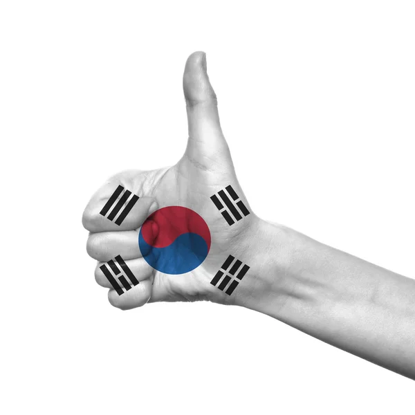 Sydkorea flagga — Stockfoto