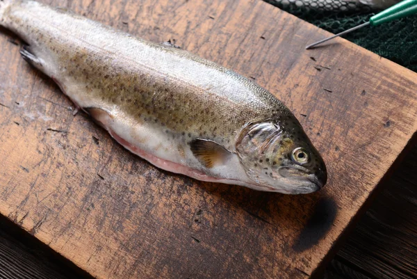 Fresh trout — Stock Photo, Image