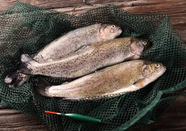 Fresh trout — Stock Photo, Image