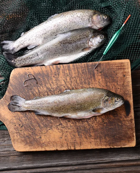 Fresh trout — Stock Photo, Image