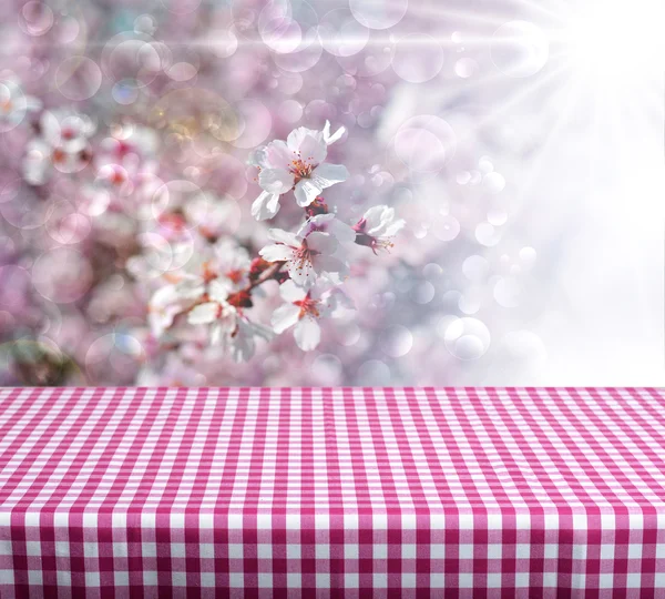 Tabella di primavera — Foto Stock