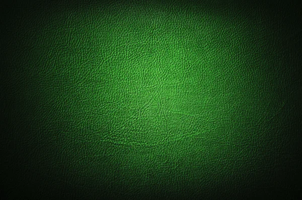 Green leather — Stock Photo, Image