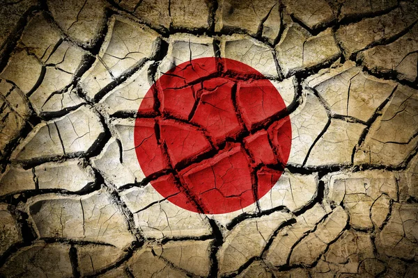 Cracked earth — Stock Photo, Image