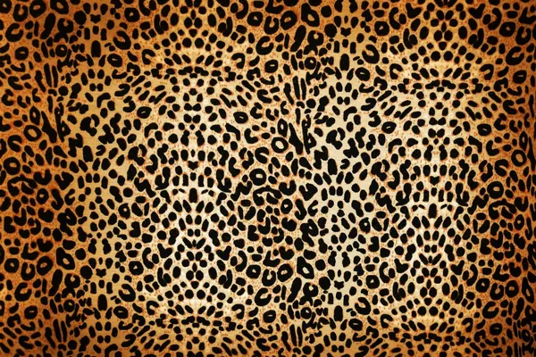 Padrão de leopardo — Fotografia de Stock