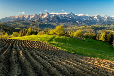 Polonya 'daki Tatra dağlarının üzerinde güzel bir bahar gün batımı