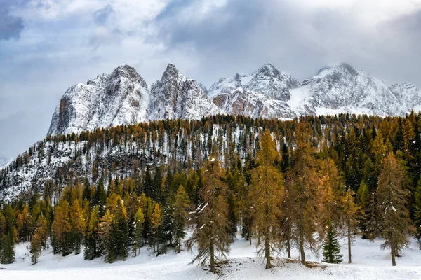 Paisagem Início Inverno Com Árvores Ainda Amarelas — Fotografia de Stock