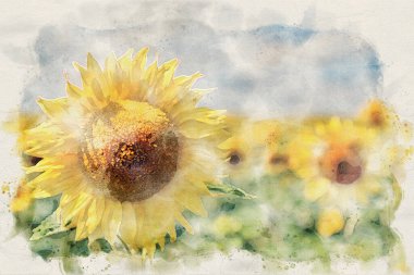 Ayçiçeği tarlasında güzel bir yaz günü - suluboya sanat