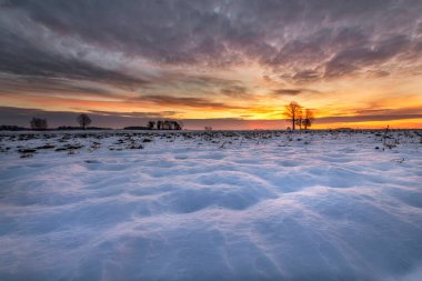 Güzel kış günbatımı tarlaların üzerinde