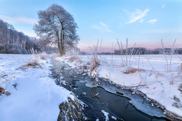 Piękny Zimowy Poranek Nad Brzegiem Rzeki — Zdjęcie stockowe