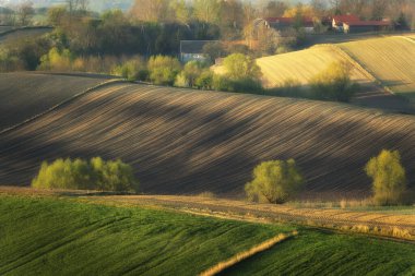 Tarlaları sürülmüş güzel bahar kırsal arazisi