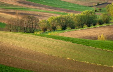 Tarlaları sürülmüş güzel bahar kırsal arazisi