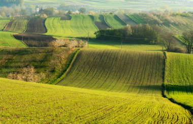 Tarlaları sürülmüş güzel bahar kırsal arazisi