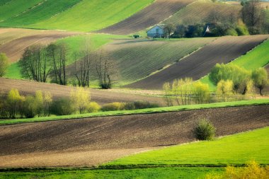 Yeşil tarlaları olan güzel bahar kırsalları