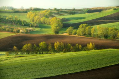 Tarlaları sürülmüş güzel bahar kırsal arazisi