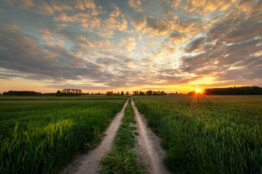 Yaz tarlalarında güzel bulutlu gökyüzü
