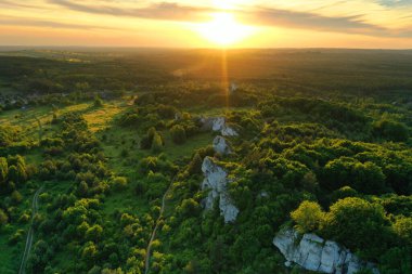 Jura Krakowsko-Czestochowska 'da kireçtaşı kayaları - Polonya