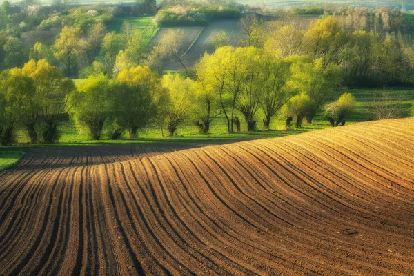 Hermoso Paisaje Rural Primavera Con Campos Arados — Foto de Stock