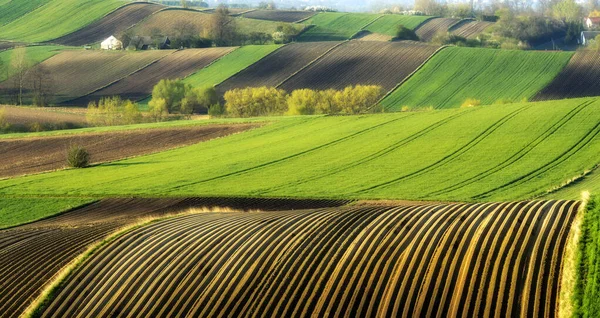 Schöne Frühlingshafte Landschaft Mit Gepflügten Feldern — Stockfoto