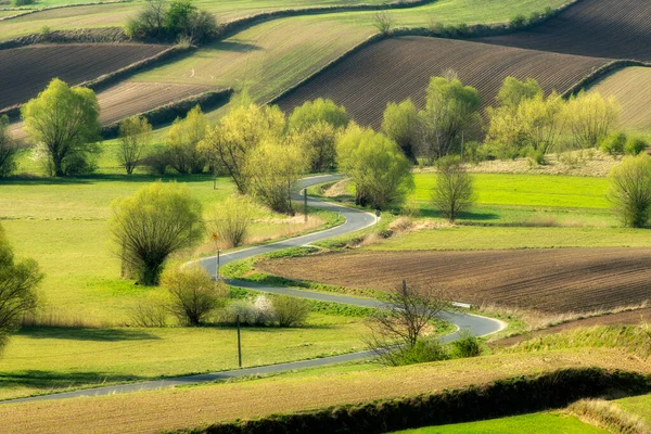 Schöne Frühlingshafte Landschaft Mit Grünen Feldern — Stockfoto