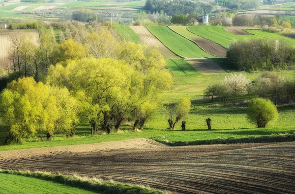 Schöne Frühlingshafte Landschaft Mit Grünen Feldern — Stockfoto
