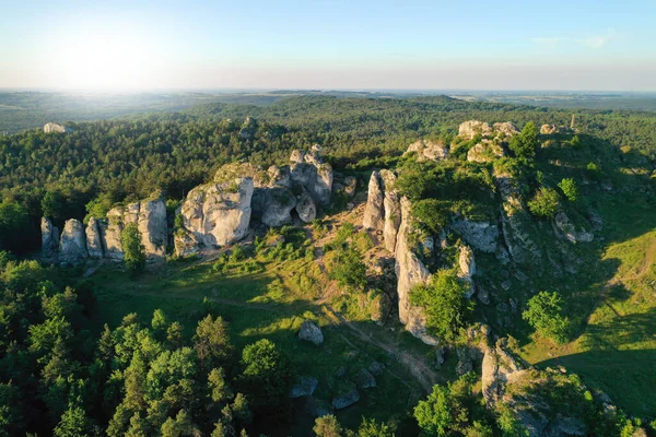 Kalksteinfelsen Jura Krakowsko Czestochowska Polen — Stockfoto