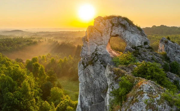 Okiennik Wielki Rock Bei Sonnenaufgang Jura Krakowsko Czestochowska Polen — Stockfoto