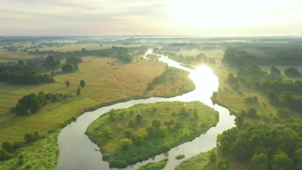 Tiro Aéreo Dron Del Río Natural — Vídeos de Stock