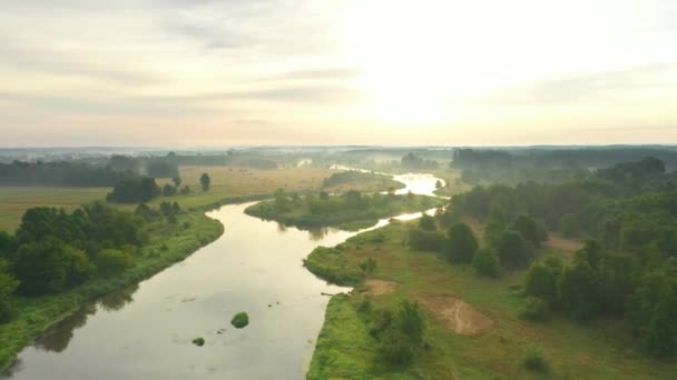 Zdjęcia Lotu Ptaka Naturalnej Rzeki Pokrytej Poranną Mgłą — Wideo stockowe