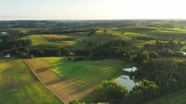 Sabahları yeşil tepelerin insansız hava aracı görüntüleri.