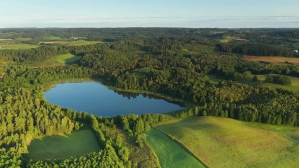 有湖泊和绿树的空中无人飞机景观 — 图库视频影像