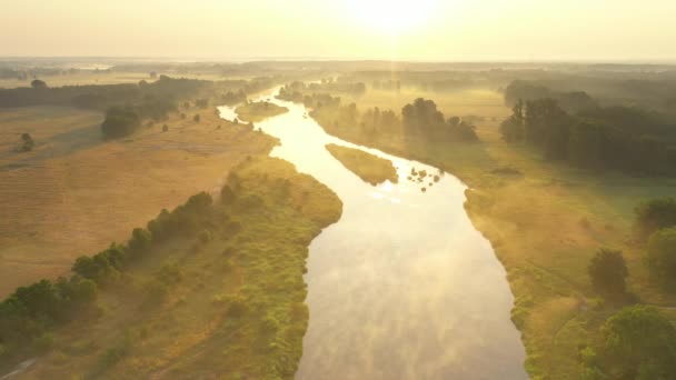 朝霧に覆われた川のドローン空中撮影 — ストック動画