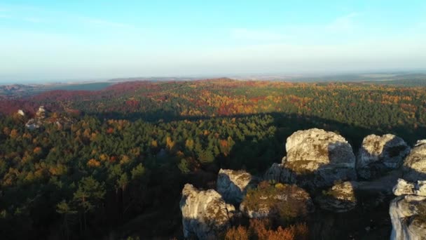 Herfst Jura Krakowsko Czestochowska Polen Luchtfoto Drone — Stockvideo