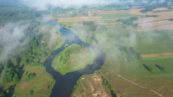 Drone Luchtfoto Van Natuurlijke Rivier Bedekt Met Ochtendmist — Stockvideo