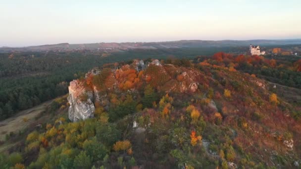 秋の木々や石灰岩の空中ドローンビュー — ストック動画